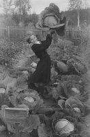 Une fille présente la récolte du jardin scolaire (1954) - Oblast de Kirov, URSS. Une fille présente la récolte du jardin scolaire (1954) - Oblast de Kirov, URSS.